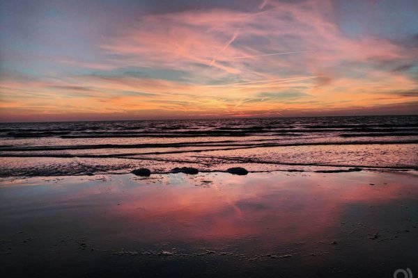 Babak Novin The Hague 2