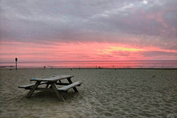 Babak Novin The Hague Beach 3