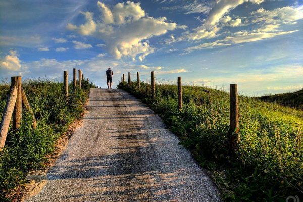 Babak Novin The Hague Road
