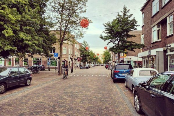 The-Hague-Babak-Novin